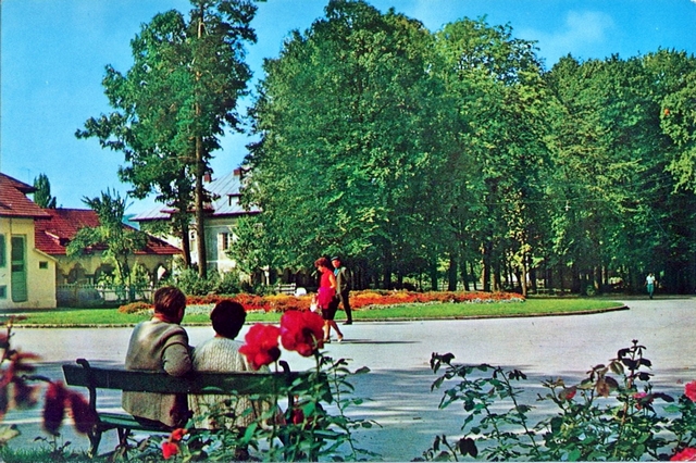 2029 - Stațiunea Pucioasa Parcul